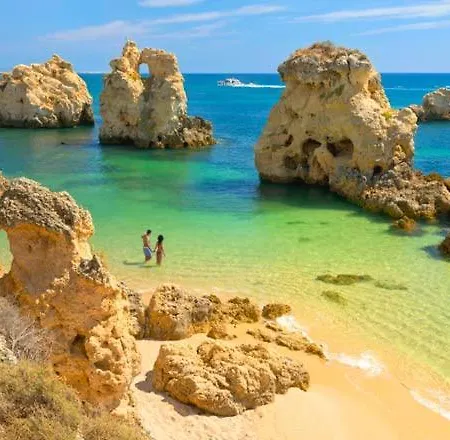 Appartement Cosy Little House